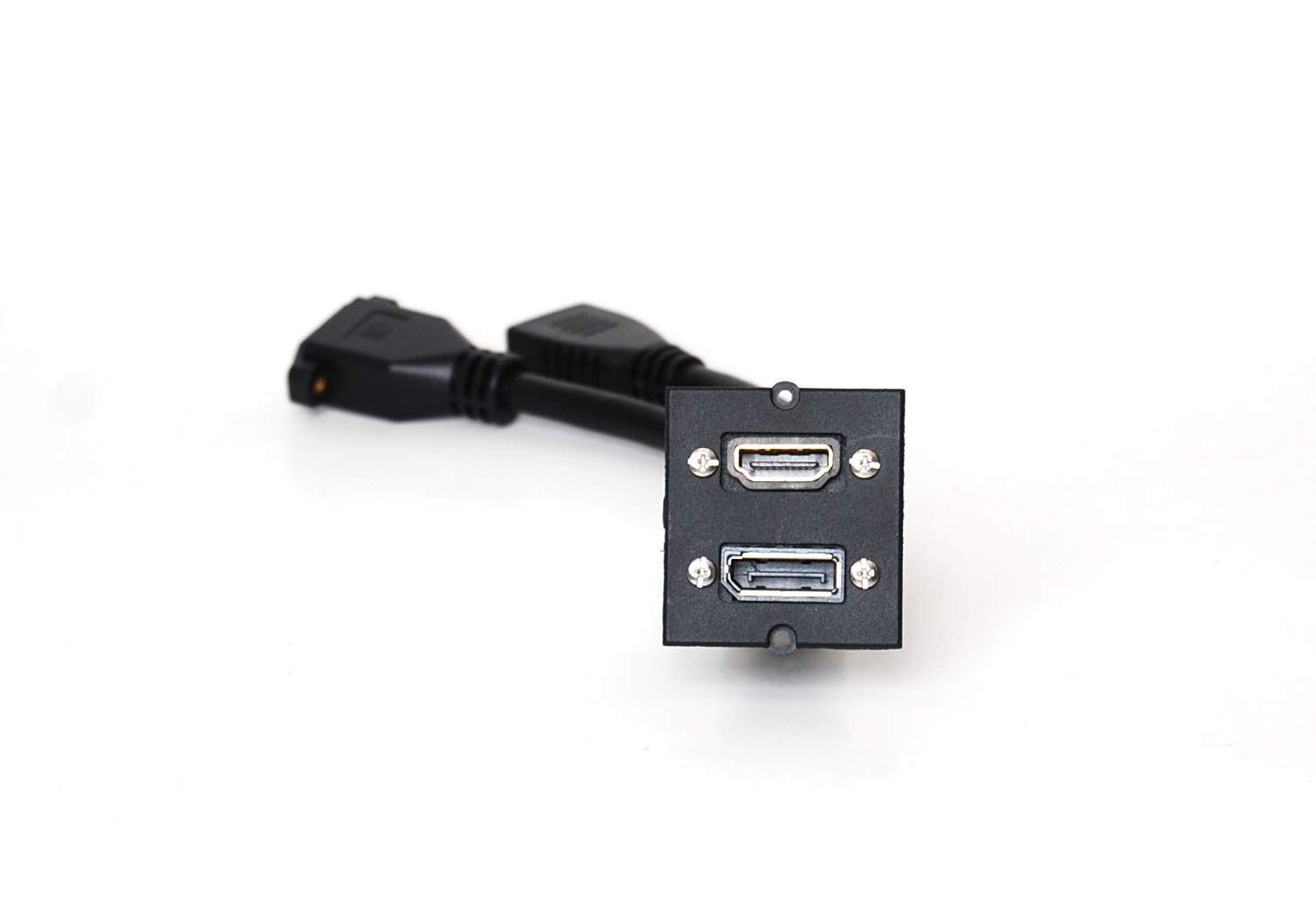 Modul med HDMI+DisplayPort-image